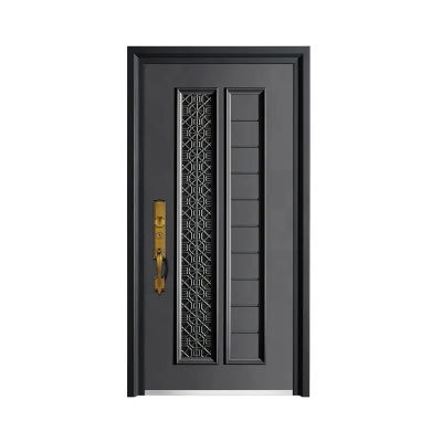 steel door designs for home 