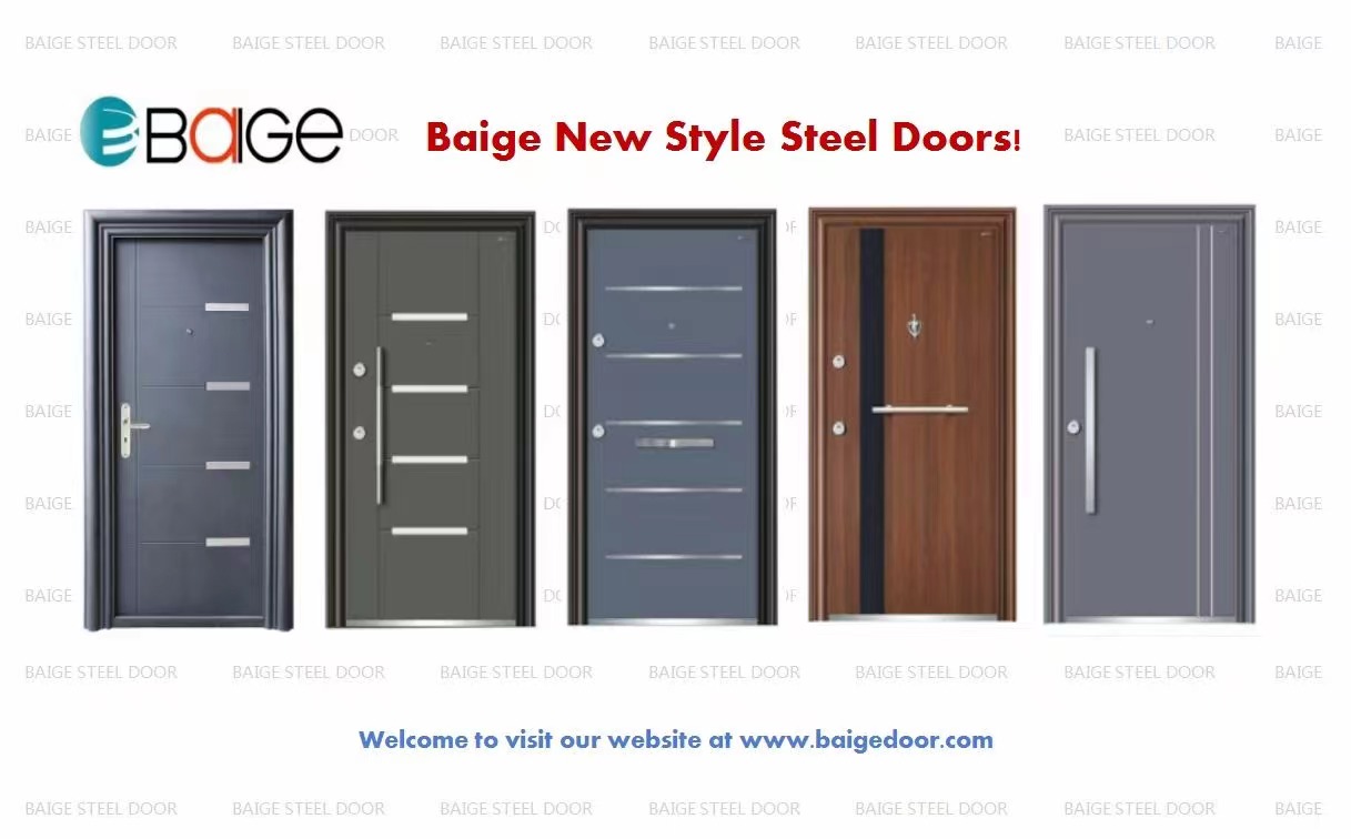 steel door designs for home