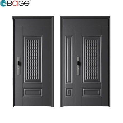 modern steel entrance door