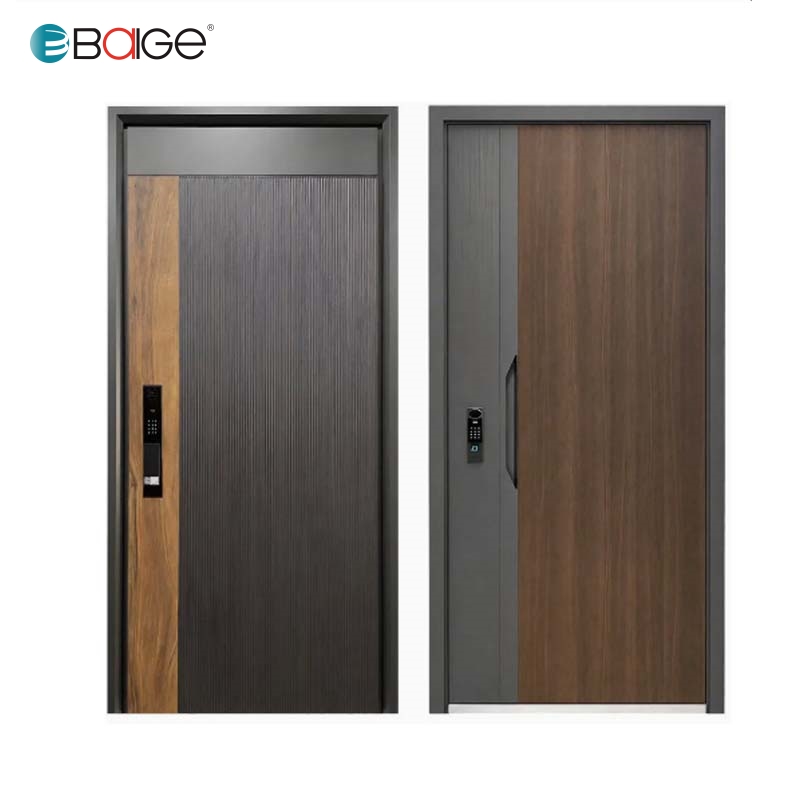 main entrance steel door