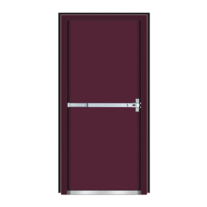 BG-F9006 Steel Fire Door