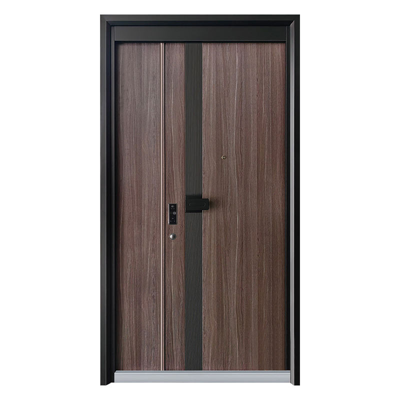 metal doors for home 