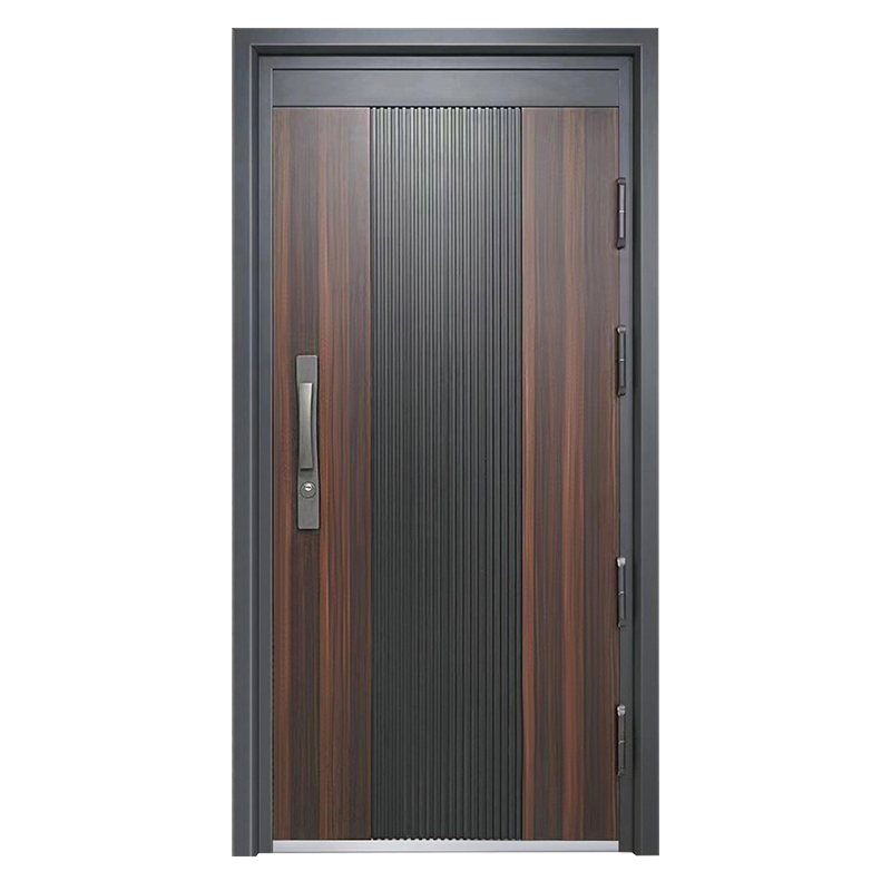 steel door design for home