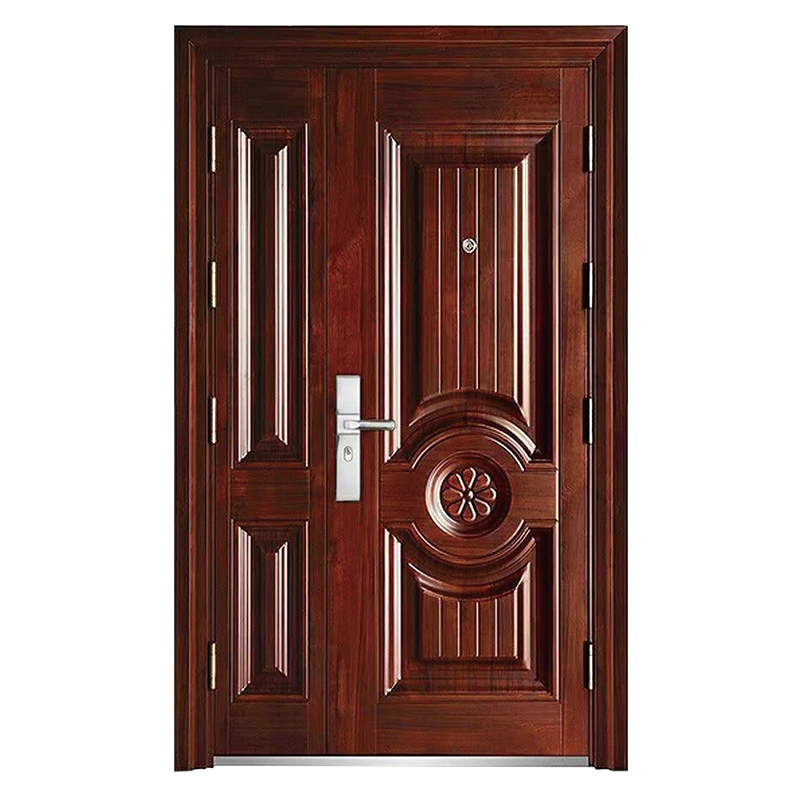 modern steel double door design