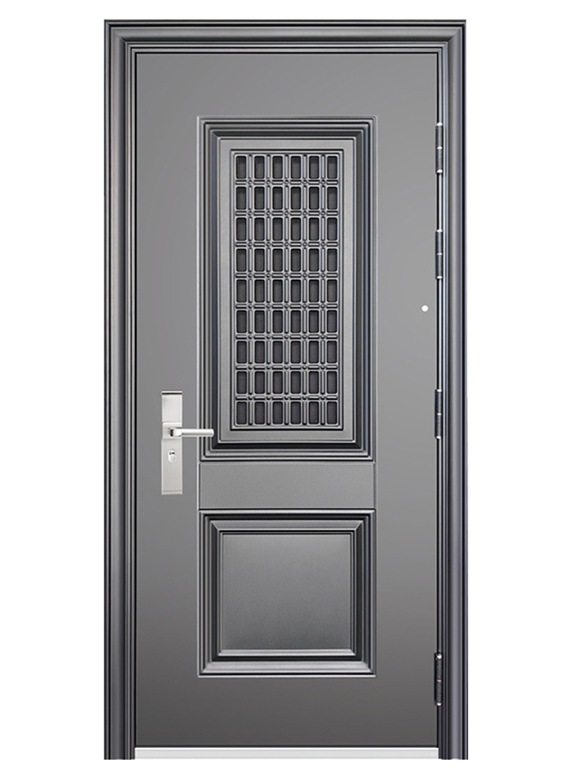 Steel Door