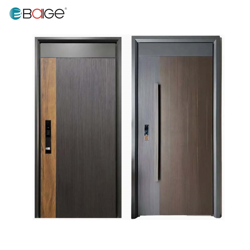 main entrance steel door